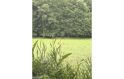 Hagerman Road, Leonard, MI 48367