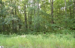 6800 S M-37, Harrietta, MI 49638