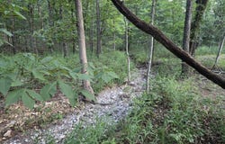 832 Misty Lane, Pleasant Hope, MO 65725