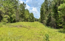 Cr 660, Quitman, MS 39355