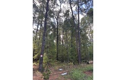 194 CR 415, Bronson, TX 75930
