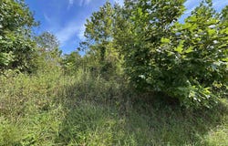 165 Merdian Road, Philippi, WV 26416