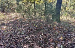 Hwy 254, Leslie, AR 72645