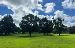 NW 464B Highway, MORRISTON, FL 32668