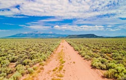 Amy Road, San Luis, CO 81152