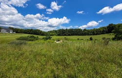 Green Tree Road lot: 6, Pembroke, VA 24136