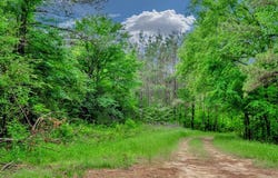 28160 FM 95 S, GARRISON, TX 75946