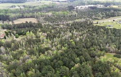 Hamilton Road, Pine Mountain, GA 31822