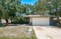 442 EVERGREEN Drive, OLDSMAR, FL 34677