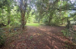 Cyprus Road, Hortense, GA 31543