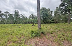 Old 63 N Highway, Lucedale, MS 39452