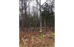 3B Mohawk, Gladys, VA 24554
