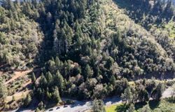 Frontage Road, Wolf Creek, OR 97497
