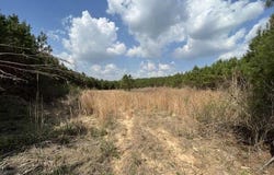 Honeysucker Road, Camden, MS 39045