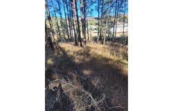 23 Valley Ave, Mayhill, NM 88339-9999