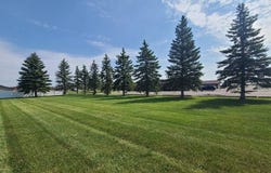 Highway 5 E, Bottineau, ND 58318