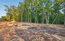 003 Cantrell Road, Mansfield, MO 65704