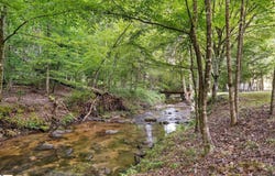 107 Holcombs Hollow Road, Sunset, SC 29685