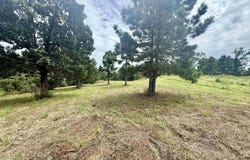 16121 W Valley View Ct, Winona, TX 75792