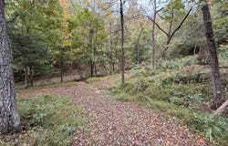 15 Willett Road, Burkesville, KY 42717