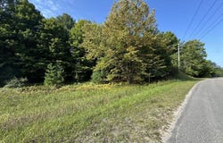 E Old Mountain Road lot: 5, Cedar, MI 49621