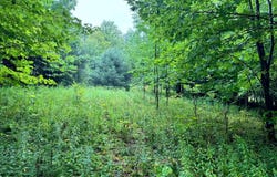 1.8 Brigham Rd, Richford, NY 13835