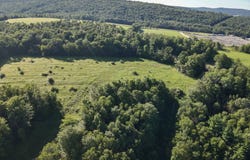 Cadis Rd, Rome, PA 18837