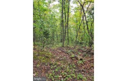 HAWKS Way, DELRAY, WV 26714