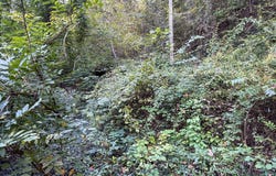142 Fishtrap Rd, Shelbiana, KY 41562