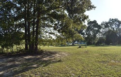 10 N Lake Circle, Manning, SC 29102