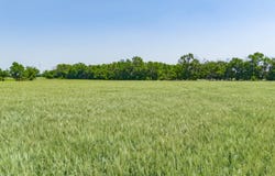 2140 Highway 75, Independence, KS 67301