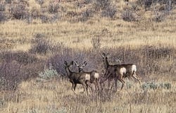 Fruitland, UT 84027