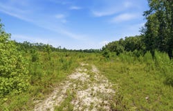 3390 Hunter Road lot: 2, Kershaw, SC 29067