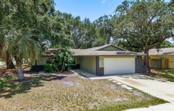 442 EVERGREEN Drive, OLDSMAR, FL 34677