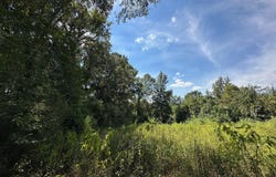 624 Caraway Road, Hickory, MS 39332
