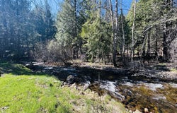 7556 Red Eagle, Shingletown, CA 96088