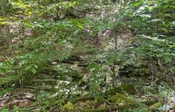 Hamilton Ridge Road, Alderson, WV 24910