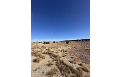 9 County Road 5700, Concho, AZ 85924