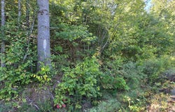 E NorthShore Dr, Sugar Island, MI 49783