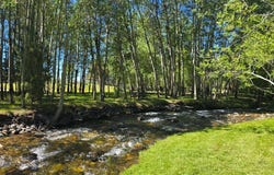 81 Mill Creek Road, Sheridan, MT 59749