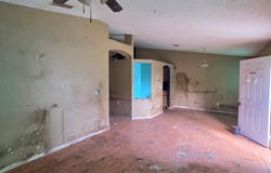 2408 Umbrella Tree Drive, Edgewater, FL 32141