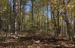 Ross Hill Road, Saint Albans, ME 04971