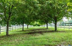 471(2) Undermountain Road, Salisbury, CT 06068