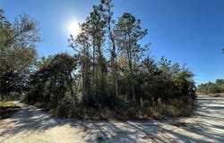 NE 15TH Street, WILLISTON, FL 32696