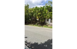 Cedro Abajo, Naranjito, PR 00783
