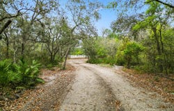 140 JUNIOR LAKE Trail, Interlachen, FL 32148