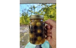 1308 Mac D Road, Orrum, NC 28369