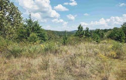 HWY 9 S, Mountain View, AR 72560