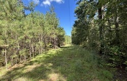 Irene Road, Summit, MS 39666