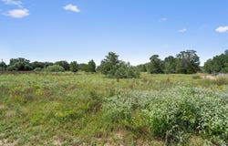 Josie Ln, Bastrop, TX 78602